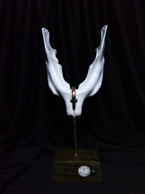 Osso vira obra de arte – Foto: Divulga&ccedil;&atilde;o/ND