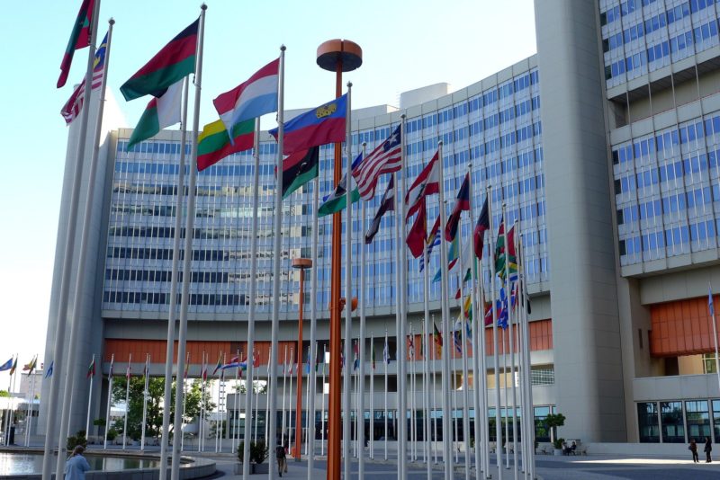 Relatórios com os trabalhados selecionados serão divulgados na ONU – Foto: Pixabay