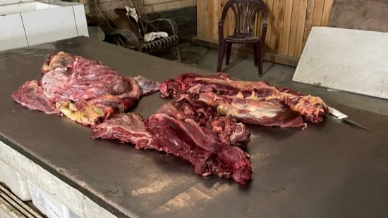 Polêmica, carne de cavalo é consumida em vários países; veja pratos