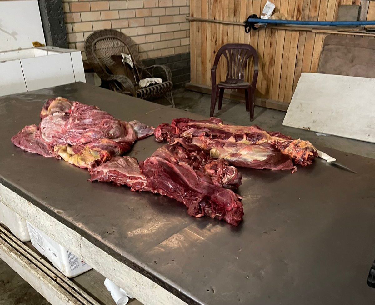 Operação conjunta apreende quatro toneladas de carne de cavalo em