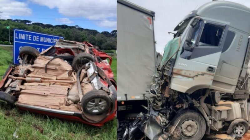 Acidente envolvendo caminhonete mata cavalo na BR-272, em Goioerê -  Umuarama News