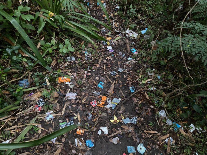 Trilha que d&aacute; acesso &agrave; praia com cen&aacute;rio diferente por conta dos preservativos espalhados pelo ch&atilde;o – Foto: Arquivo pessoal/ND