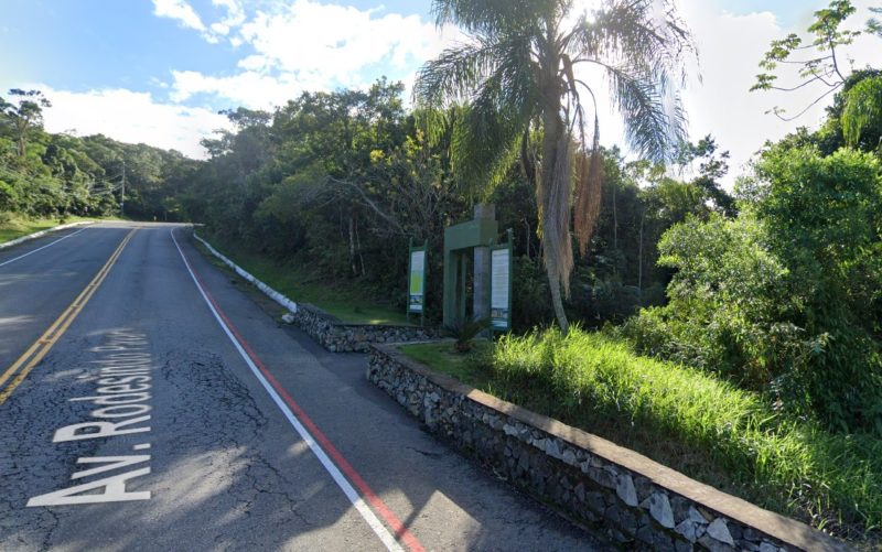 Trilha que leva at&eacute; a faixa de areia da praia – Foto: Google Maps/ND