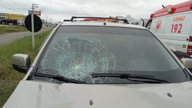 Condutor permaneceu no local durante o atendimento; veículo sofreu danos no impacto, mas motorista não se feriu – Foto: Divulgação/PRF