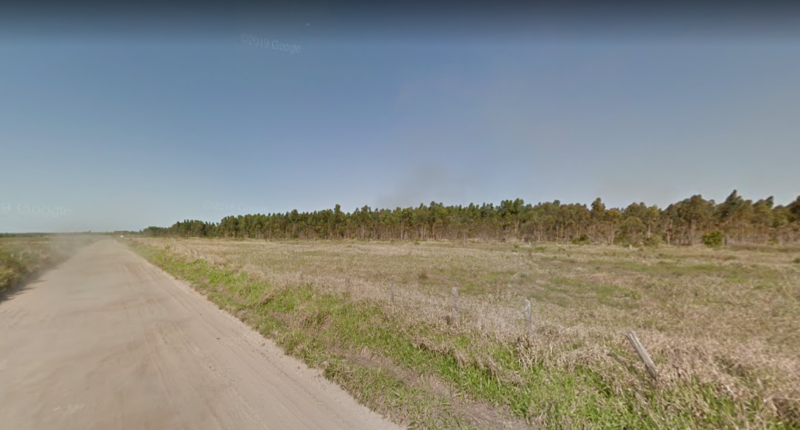 Corpo foi encontrado ap&oacute;s pequeno inc&ecirc;ndio em eucaliptos na Estrada Geral do Fundo Grande, na Praia da Ca&ccedil;amba em Balne&aacute;rio Arroio do Silva – Foto: Reprodu&ccedil;&atilde;o/Google Maps