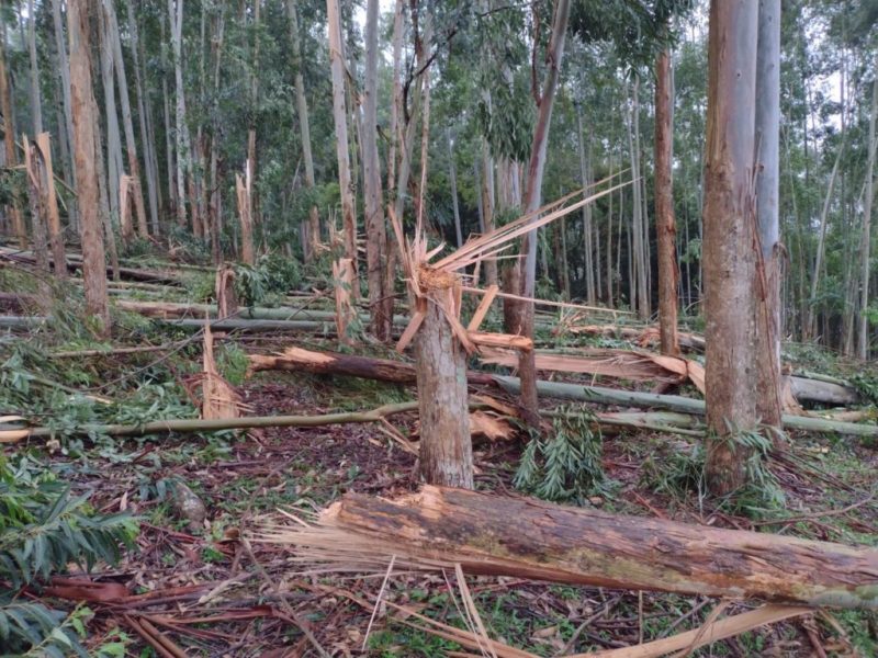 Dados foram enviados à Defesa Civil — Foto: Belos FM/Divulgação/ND