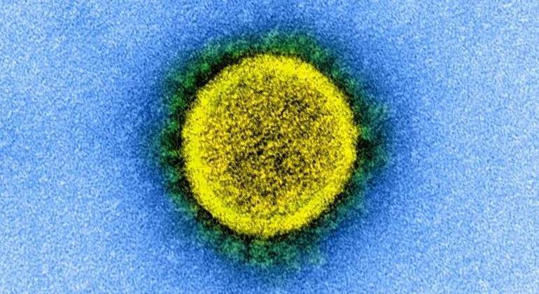 Estudos apontam variações de letalidade e gravidade nas variantes da Covid-19, como Delta e Ômicron