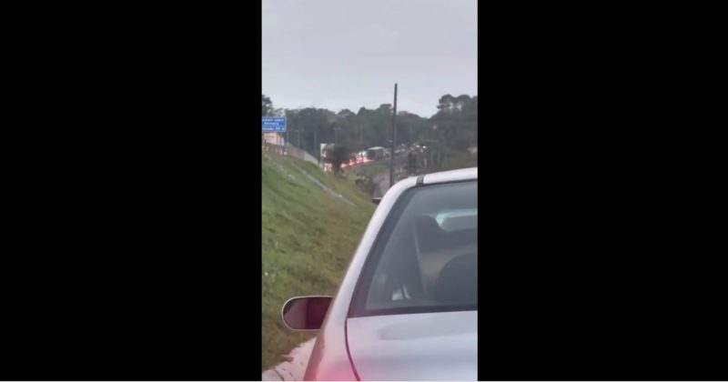 Em vídeo, homem diz que Zé Trovão teria sido preso e que a cidade de Joinville estaria parada por conta disso; informação não foi confirmada por autoridades – Foto: Reprodução/Internet