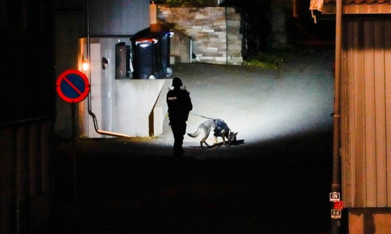 Homem com arco e flecha mata diversas pessoas no interior da Noruega, diz pol&iacute;cia – Foto: Hakon Mosvld/NTB/Ag&ecirc;ncia Brasil