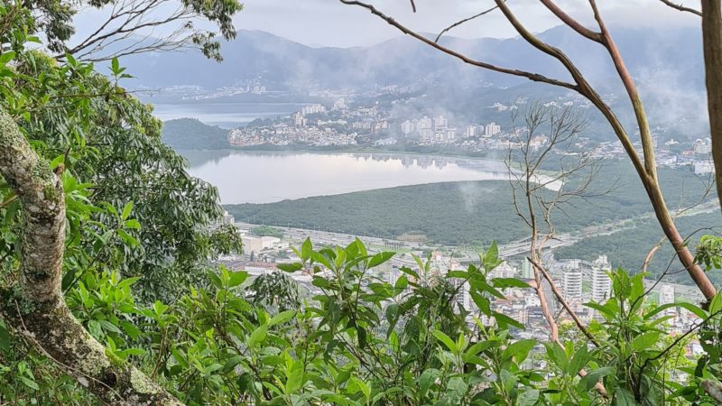 Vista do alto do Morro da Cruz, em Florianópolis, na manhã desta quarta-feira (20) – Foto: Altair Magagnin/ND