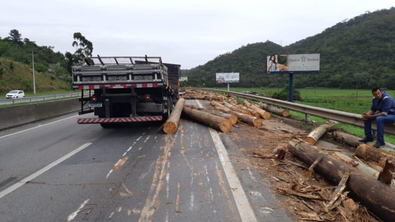 Pneu do caminhão estourou e toras caíram na pista, causando lentidão – Foto: PRF/Divulgação