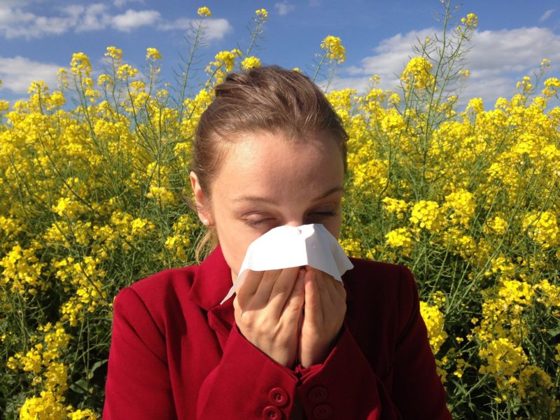 Perguntas e respostas sobre as relações entre alergias e primavera foram respondidas por alergista da UFSC &#8211; Foto: Pixabay/ Divulgação/ ND