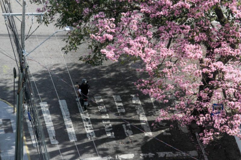 Ciclista e pedestre terão prioridade na futura Rua Koesa de São José