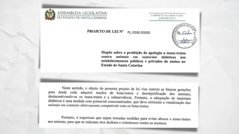Trechos do projeto do deputado Jair Miotto – Foto: Arte: Altair Magagnin/ND