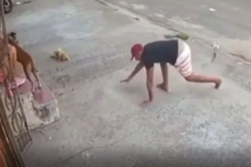 Trapalhada do ladr&atilde;o ficou famosa na internet – Foto: Internet