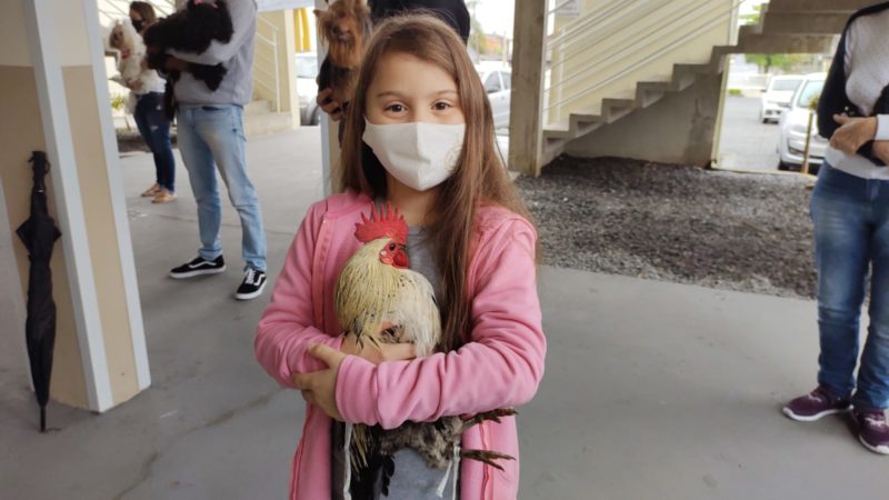 O Diamante Negro roubou a cena na ben&ccedil;&atilde;o dos animais em Joinville – Foto: Adriano Mendes/NDTV