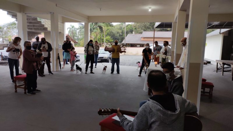 Passarinhos, c&atilde;es, galo e v&aacute;rios outros bichinhos foram aben&ccedil;oados – Foto: Adriano Mendes/NDTV