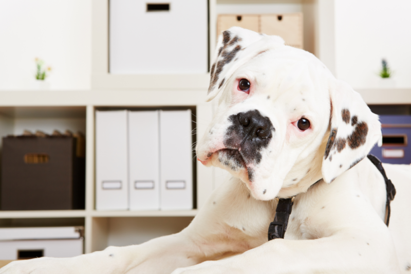 Foto: Divulga&ccedil;&atilde;o