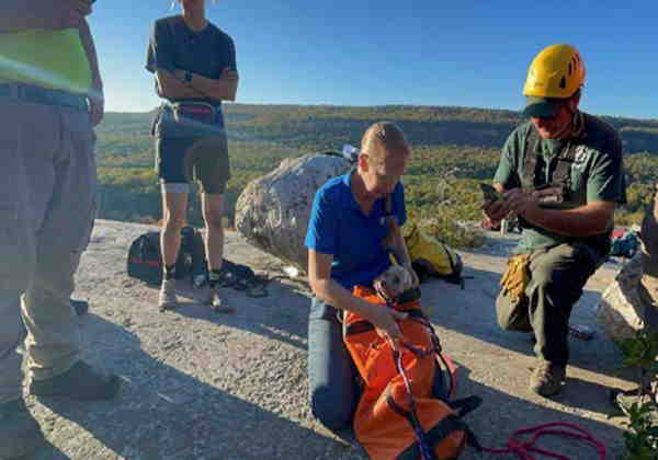 C&atilde;o foi resgatado ap&oacute;s cinco dias preso em fenda de mais de 10 metros – Foto: Reprodu&ccedil;&atilde;o/ND