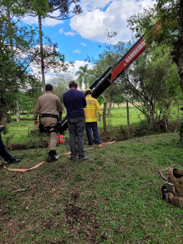 Cavalo estava em um córrego e foi içado por um guincho – Foto: 9BBM/Divulgação
