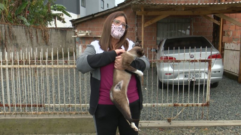 Dulce costuma resgatar animais abandonados na rua