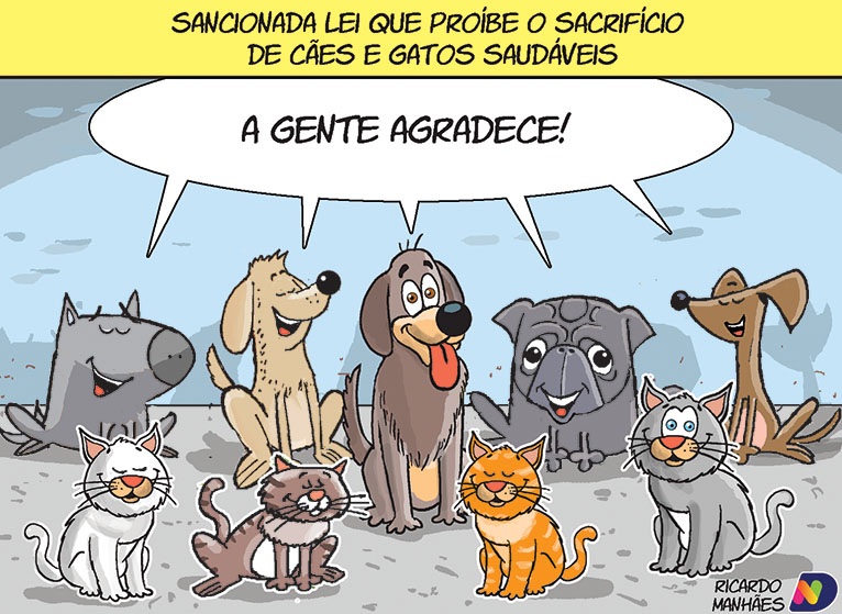 Confira a charge desta sexta-feira