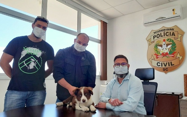 Cãozinho Charlie é o novo integrante da Polícia Civil &#8211; Foto: PCSC/Divulgação/ND