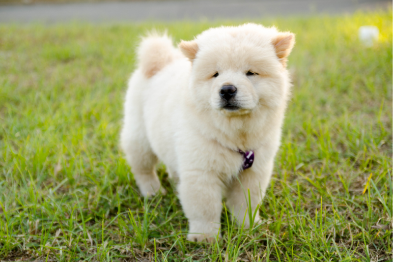 Foto: Divulga&ccedil;&atilde;o