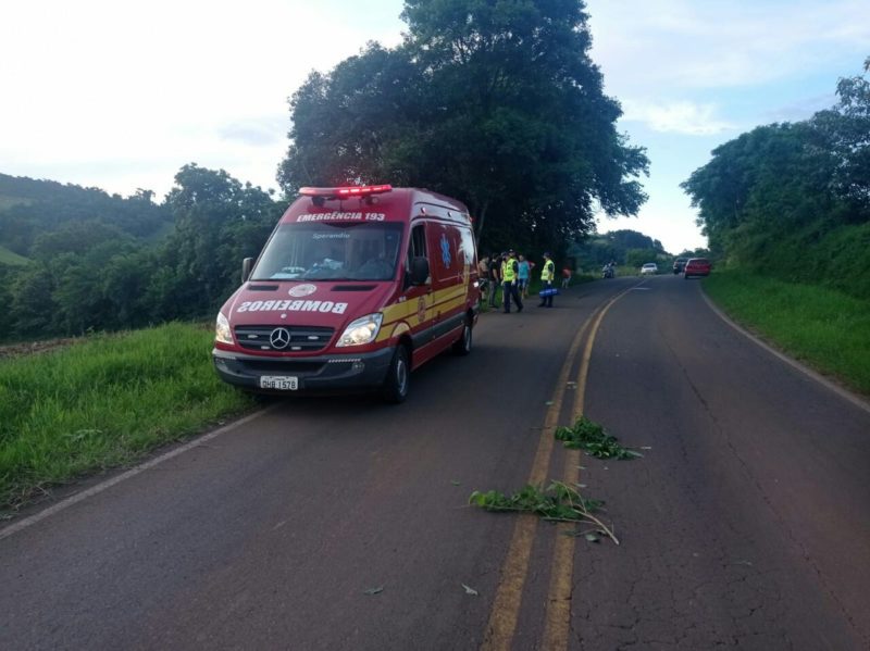 Corpo de Bombeiros atendeu a ocorrência no interior de Palmitos – Foto: Corpo de Bombeiros (3)tr