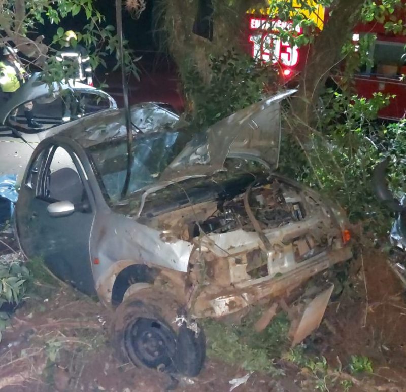 Caso foi atendido pelo Corpo de Bombeiros na SC-355, na linha Papu&atilde;, no interior de Fraiburgo – Foto: Corpo de Bombeiros/ND