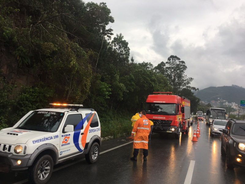 Local foi interditado por risco de queda de árvore – Foto: Defesa Civil de Florianópolis/Divulgação/ND