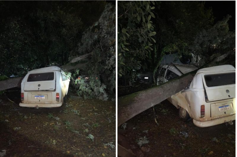 Em Xanxerê, uma árvore caiu em cima de um carro &#8211; Foto: Defesa Civil/ND