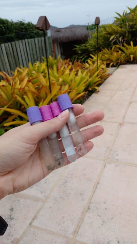 Focos de Aedes aegypti encontrados – Foto: PMF/Divulga&ccedil;&atilde;o/ND