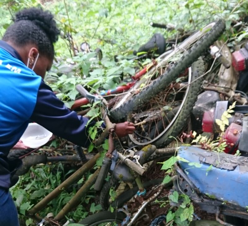 Combate a dengue em Florianópolis, Capital de SC