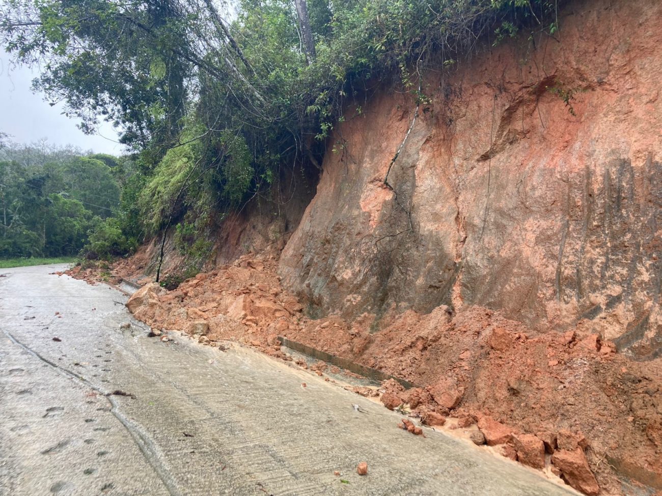 Palho A Tem Recorde De Chuva Deslizamentos E Alagamento De Casas