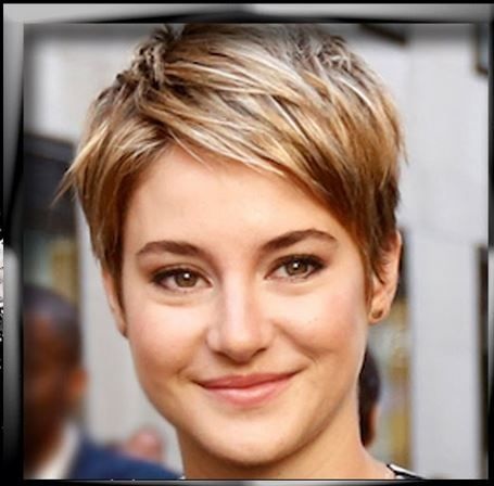 A atriz Shailene Woodley, quando cortou seu cabelo para atuar como uma protagonista portadora de câncer. -Reprodução: Instagram @shailenewoodley/ND