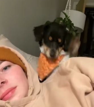 Cachorro n&atilde;o gostou de ser ignorado pela tutora – Foto: Reprodu&ccedil;&atilde;o/Instagram