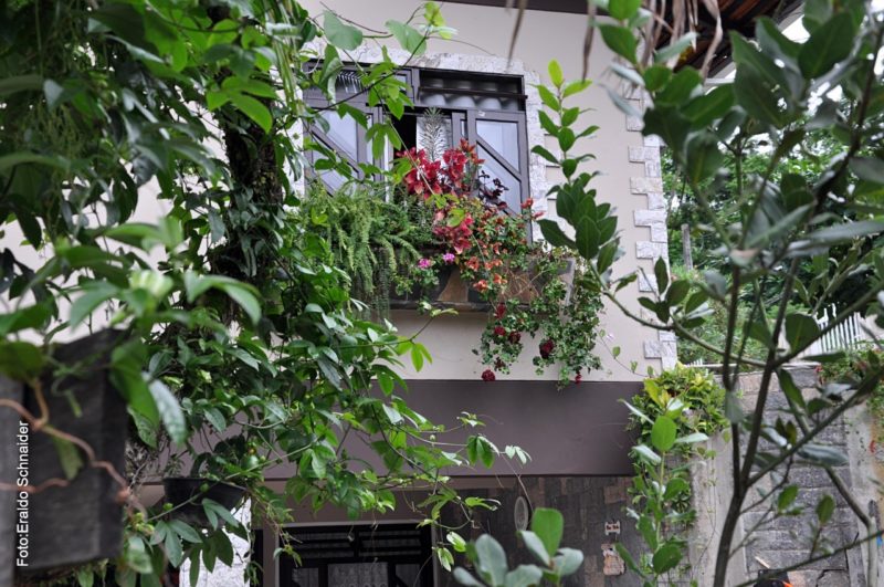 Concurso de Jardins est&aacute; aberto para inscri&ccedil;&otilde;es at&eacute; o dia 3 de dezembro – Foto: Divulga&ccedil;&atilde;o/Eraldo Schnaider