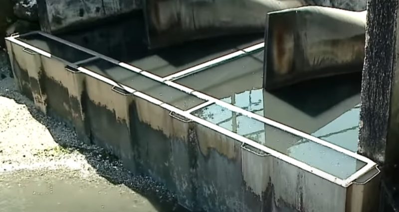 Moradores denunciam despejo irregular de esgoto na Beira-Mar Norte, em Florian&oacute;polis – Foto: Reprodu&ccedil;&atilde;o/NDTV RecordTV