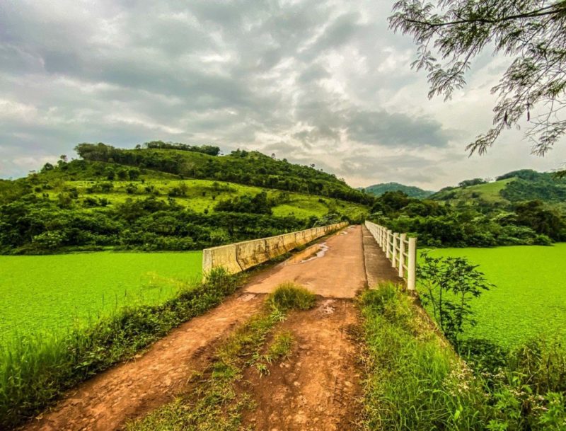 Caso foi registrado entre os munic&iacute;pios de Bandeirante e Belmonte, no Oeste catarinense – Foto: Cristian Losh