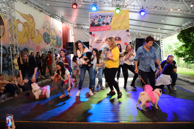 Dog Day Dance traz os cachorrinhos para a dan&ccedil;a – Foto: Nilson Bastian