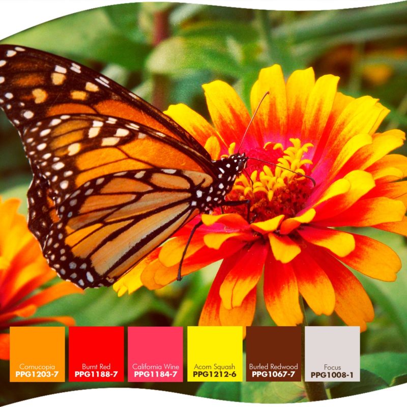 Com a chegada da Primavera, é hora de colorir seus ambientes – Foto: Divulgação Renner