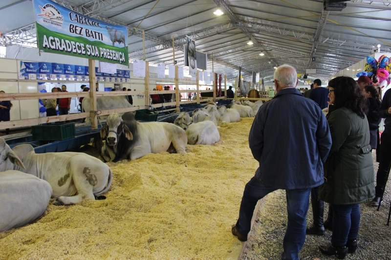 Em sua 10ª edição, a feira AgroPonte tem novidades em sua programação – Foto: Divulgação/ND