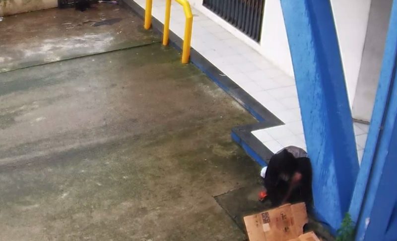 Empresas contabilizam preju&iacute;zos ap&oacute;s s&eacute;rie de furtos de fios em S&atilde;o Jos&eacute; – Foto: Reprodu&ccedil;&atilde;o/NDTV RecordTV