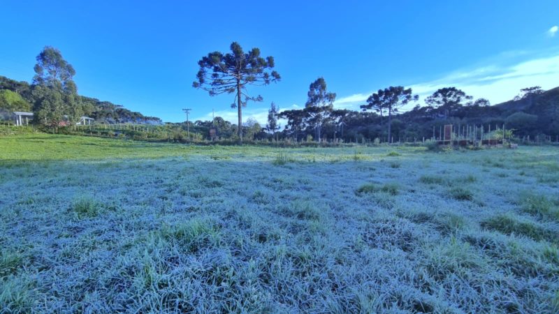 Uma fina camada de gelo deixou os campos branquinhos – Foto: Mycchel Legnaghi / S&atilde;o Joaquim Online