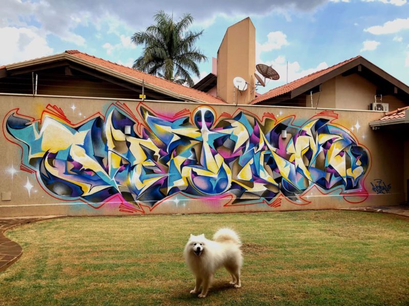 Artista visual, artista plástico e grafiteiro, prazer João Vejam