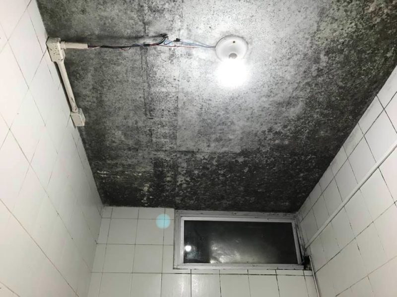 Secretaria de Estado da Saúde deve explicar se sabia do mofo nas paredes e no teto &#8211; Foto: Val Meurer/Arquivo pessoal
