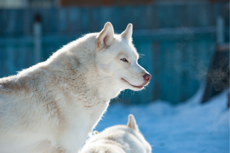 Foto: Divulga&ccedil;&atilde;o