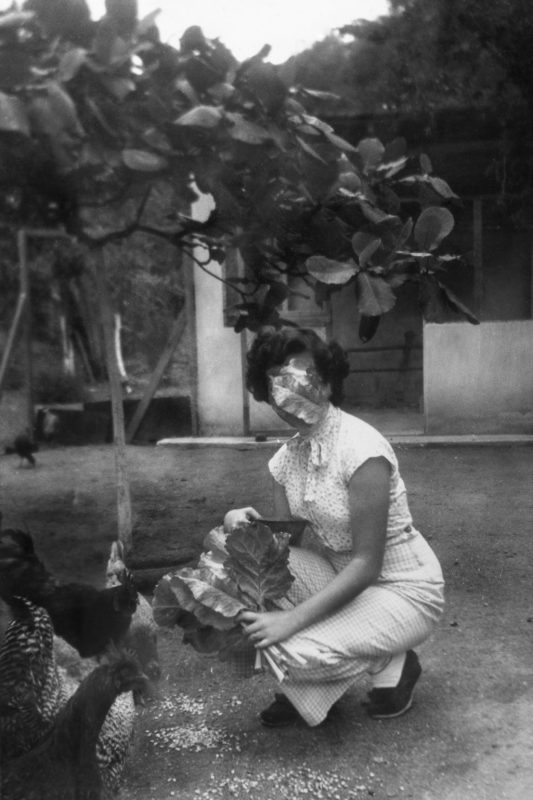 Na s&eacute;rie “Jardins”, Favero faz fotografias de mulheres posando nos jardins, espa&ccedil;o limite entre p&uacute;blico e dom&eacute;stico – Foto: Fran Favero /Divulgacao/ND