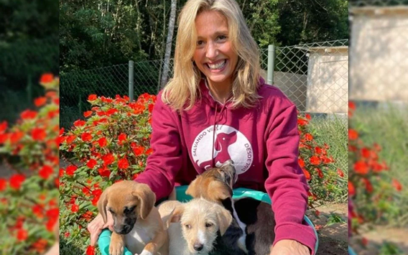 Luisa Mell se envolveu no acidente em 2008. – Foto: Reprodu&ccedil;&atilde;o/Internet